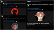 PewDiePie, Shroud, and Lirik were all banned and unbanned at the same time (Images via @StreamerBans/X)